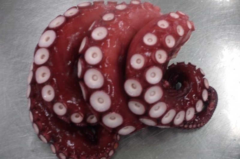 タコ 蒸し北海蛸[株式会社樫寅] | 製品情報 | IBARAKI EXPORTS - Selection