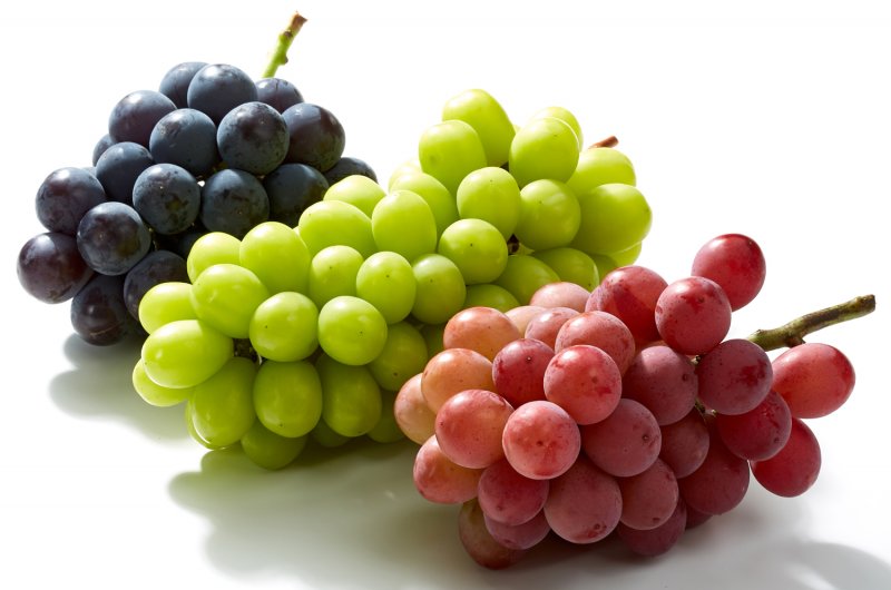 葡萄| 產品資訊| IBARAKI EXPORTS - Selection of Japanese Foods -